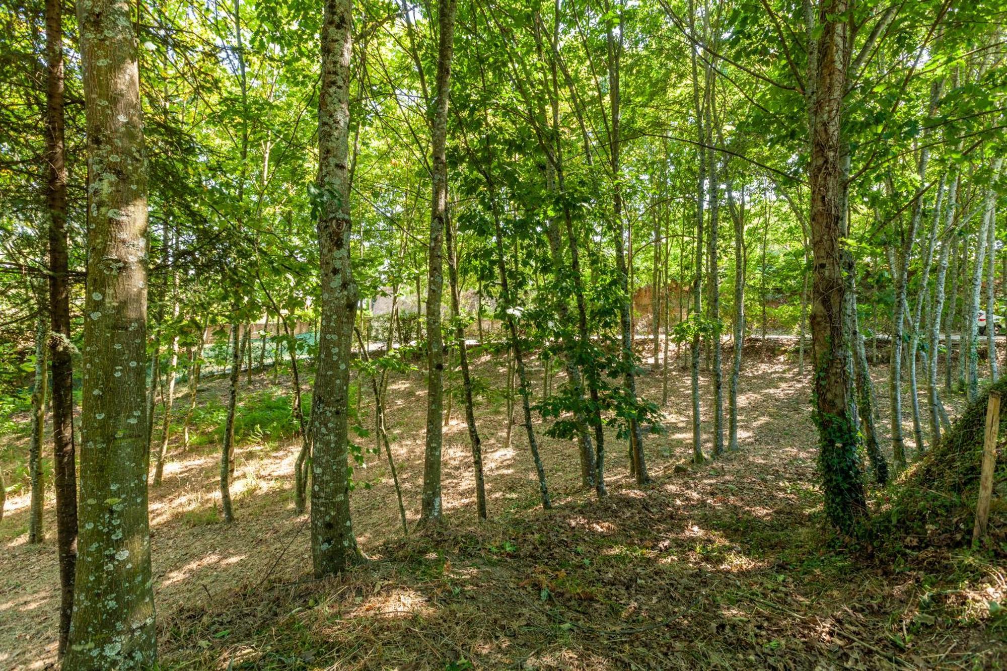 Villas Prendal Eco Living - Minho'S Guest Γκιμαράες Εξωτερικό φωτογραφία
