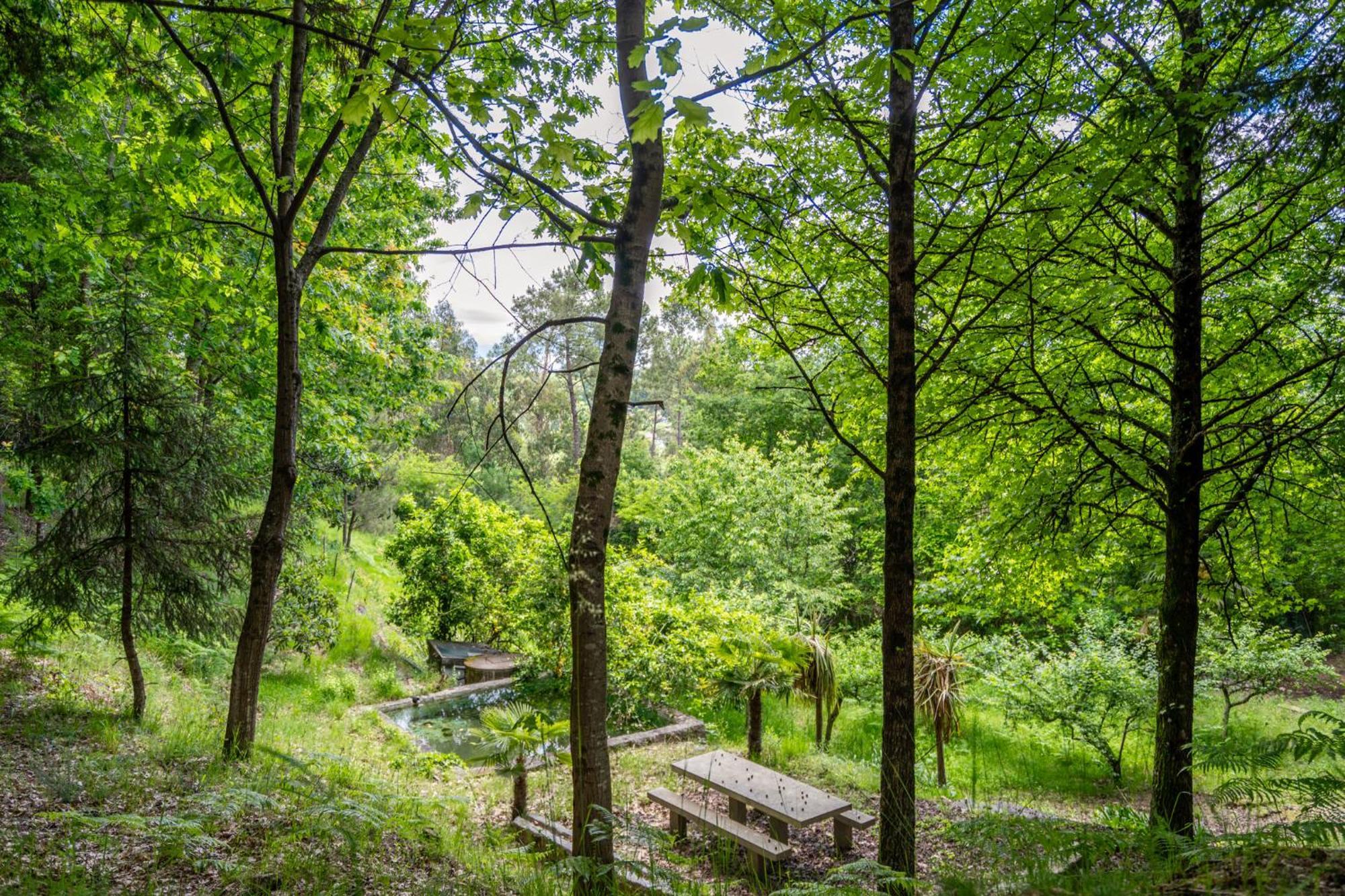 Villas Prendal Eco Living - Minho'S Guest Γκιμαράες Εξωτερικό φωτογραφία
