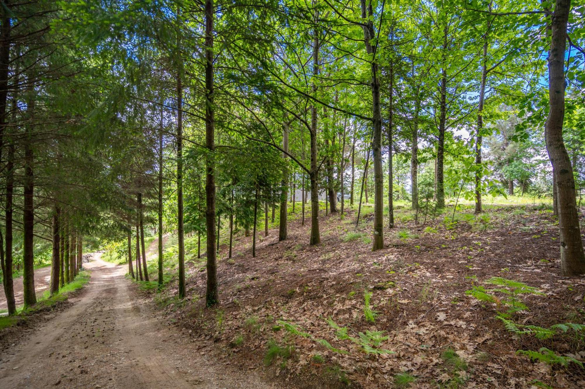 Villas Prendal Eco Living - Minho'S Guest Γκιμαράες Εξωτερικό φωτογραφία